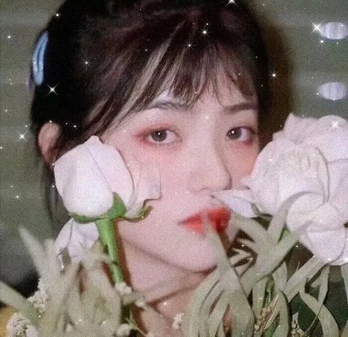 大象菩提